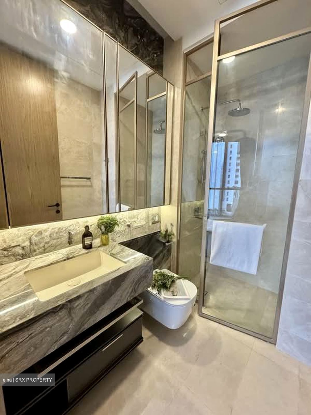 The Avenir (D9), Condominium #582880891